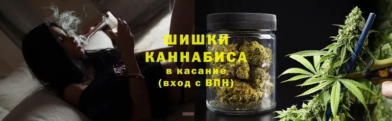 Конопля Ganja  Раменское 